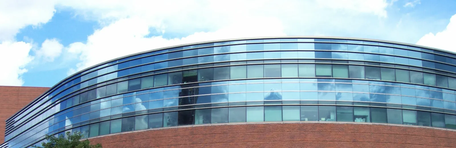 Carlson School of Management cover
