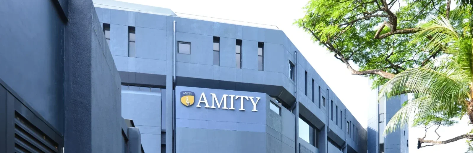 Amity Global Institue cover