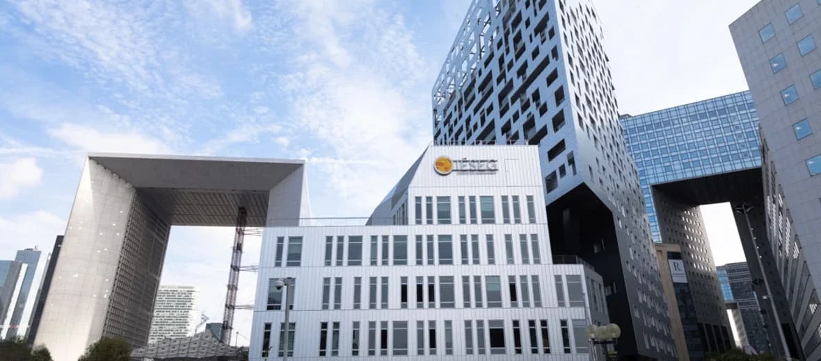 IESEG School of Management cover