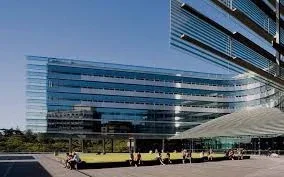 University of Auckland cover