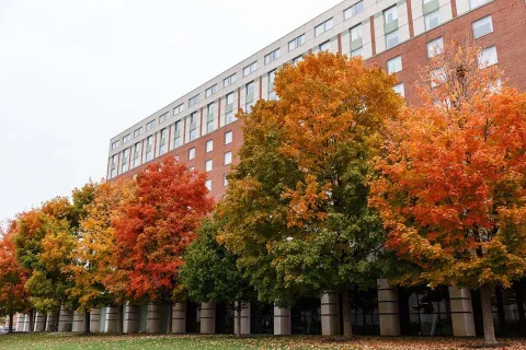 Indiana University - Purdue University Indianapolis campus