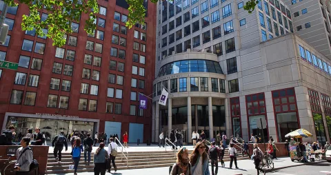 Stern School of Business campus