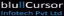 BluCursor Infotech Pvt. Ltd.