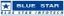 Blue Star Infotech Ltd.