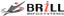 Brill Infosystems