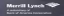 DSP Merrill Lynch