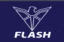 Flash Electronics