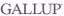 Gallup India