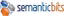 Semantic Bits LLC