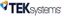 TEK Systems