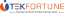 Tekfortune