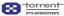 Torrent Pharmaceuticals