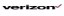 Verizon Data Services