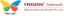 Vidushi infotech