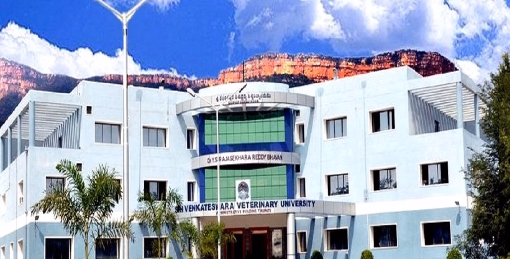 College of Veterinary Science cover photo 1