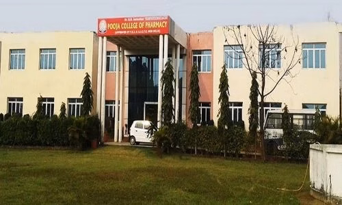 Dr. B.R. Ambedkar Pooja College of Pharmacy - (BRAPCP) cover photo 2
