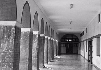 Department of Germanic and Romance Studies, University of Delhi cover photo 1