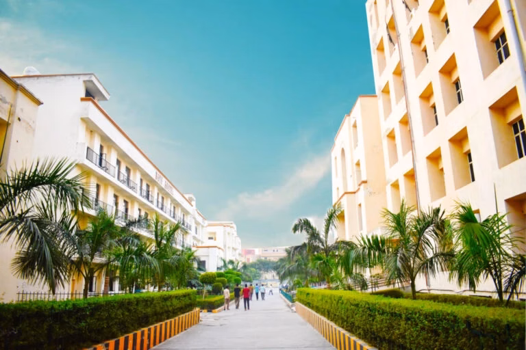 ITS College of Health & Wellness Sciences cover photo 1