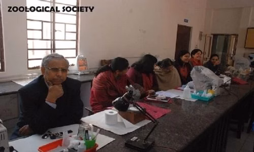Daulat Ram College (DRC) cover photo 5