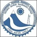Uttarakhand Technical University