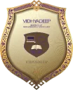Vidhyadeep University