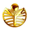 Velankanni Institute of Management Studies logo