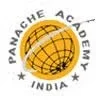 Panache Academy logo