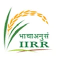 Indian Institute of Rice Research (IIRR) logo
