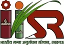 Indian Institute of Sugarcane Research (IISR)
