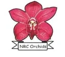 National Research Centre for Orchids (ICAR) logo