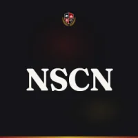 Netaji Subhash College of Nursing (NSCN)