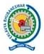 Eklavya College of Technology & Science