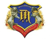 Millennium Institute of Technology (MIT)