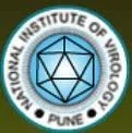 National Institute of Virology - (NIV)