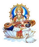 Shree Narmada College of Education