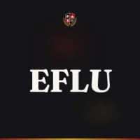 English and Foreign Languages University (EFLU)