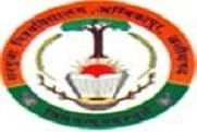Sarguja University