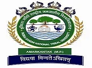Indira Gandhi National Tribal University (IGNTU)