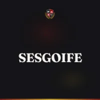 Saraswati Education Societys Group of Institutions Faculty of Engineering (SESGOIFE)