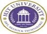 MIT School of Bioengineering Sciences and Research - (MITSBSR)