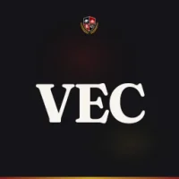 Viswam Engineering College