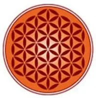 Vedica Scholars Programme for Women (VSPW)