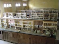 Government Model Science College