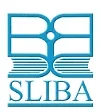 Som Lalit Institute of Business Administration (SLIBA)