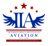 International Institute of Aviation (IIA)