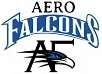 Aerofalcons Aviation Services & Training