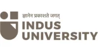 Indus Institute of Information & Communication Technology - (IIICT)