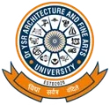 Dr. YSR Architecture and Fine Arts University