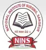 National Institute of Nursing (NINS)