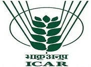 Directorate of Sorghum Research (DSR)